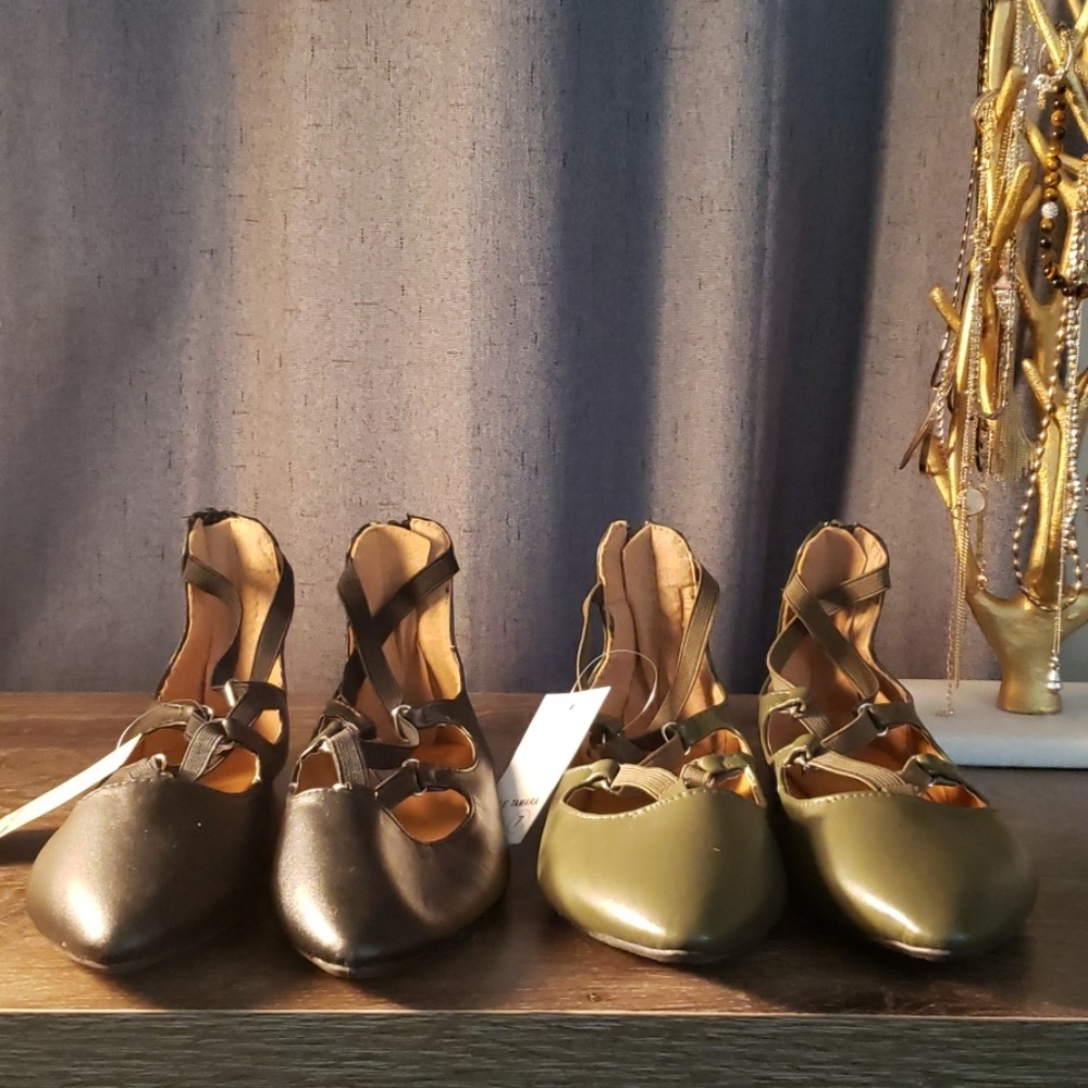Pointed Toe Ballerina Flats